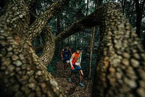 BIB: 
                            <button type="button" onclick="openModal(25674450)" class="btn btn-primary btn-sm float-right btn-popup" data-toggle="modal" data-target=".modal-high-quality">
                        <i class="fas fa-shopping-cart"></i> Add to Cart
                    </button>
                                            <button type="button" onclick="isThisMe(25674450, true)" class="btn btn-success btn-sm float-right btn-popup btn-isme hidden" data-toggle="tooltip" data-placement="bottom" title="นี่คือรูปของคุณใช่ไหม คลิกที่นี่เพื่อเอาเข้าอัลบั้ม">
                        <i class="fas fa-plus"></i> Add to album
                    </button>
                    <button type="button" onclick="isThisMe(25674450, false)" class="btn btn-warning btn-sm float-right btn-popup btn-isnotme hidden">
                        <i class="fas fa-ban"></i> Remove from album
                    </button>